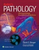 Rubin's Pathology - Clinicopathologic Foundations of Medicine (Hardcover, 7th Revised edition) - David S Strayer Photo