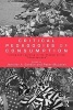 Critical Pedagogies of Consumption - Living and Learning in the Shadow of the "Shopocalypse" (Paperback) - Jennifer A Sandlin Photo