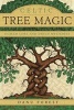 Celtic Tree Magic - Ogham Lore and Druid Mysteries (Paperback) - Danu Forest Photo