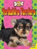 Yorkshire Terriers (Hardcover) - Susan H Gray Photo