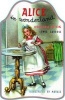 Alice in Wonderland Picture Book (Paperback, abridged edition) - Lewis Carroll Photo