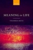 Meaning in Life (Paperback) - Thaddeus Metz Photo