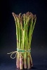 A Bunch of Fresh Asparagus Standing Upright Journal - 150 Page Lined Notebook/Diary (Paperback) - Cs Creations Photo