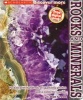 Rocks and Minerals (Paperback) - Dan Green Photo