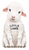 Little Lamb - Mini Look at Me Books (Board book, abridged edition) - L Rigo Photo