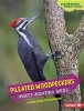 Pileated Woodpeckers - Insect-Hunting Birds (Hardcover) - Laura Hamilton Waxman Photo