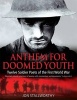 Anthem for Doomed Youth - Twelve Soldier Poets of the First World War (Paperback) - Jon Stallworthy Photo