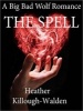 The Spell (MP3 format, CD, Unabridged) - Heather Killough Walden Photo