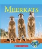 Meerkats (Hardcover) - Josh Gregory Photo