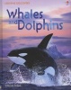 Whales and Dolphins (Hardcover) - Susannah Davidson Photo