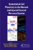 Endothelial Cell Plasticity in the Normal and Injured Central Nervous System (Hardcover) - Esperanza Melendez Herrera Photo