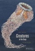 Creatures of the Deep - The Pop-Up Book (Hardcover) - Ernst Haeckel Photo