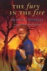 The Fury in the Fire (Paperback) - Henning Mankell Photo