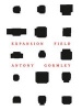 Antony Gormley Expansion Field (Hardcover) - Zentrum Paul Klee Photo