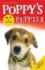 Poppy's Dogs Trust Puppies (Paperback) - Sophia Fergus Photo