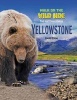 Yellowstone (Hardcover) - Claire ONeal Photo