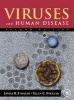 Viruses and Human Disease (Hardcover, 2nd Revised edition) - James H Strauss Photo