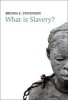 What is Slavery? (Paperback) - Brenda E Stevenson Photo