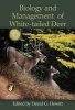 Biology and Management of White-Tailed Deer (Hardcover) - David G Hewitt Photo