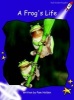 A Frog's Life, Level 3 - Fluency (Standard English Edition) (Paperback, International edition) - Pam Holden Photo