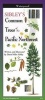 Sibley's Trees of Pacific Northwest (Poster) - David Sibley Photo