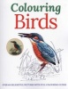 Colouring Birds (Paperback) - Peter Gray Photo