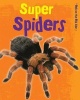 Super Spiders (Hardcover) - Charlotte Guillain Photo