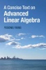 A Concise Text on Advanced Linear Algebra (Paperback) - Yisong Yang Photo