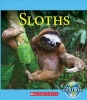 Sloths (Hardcover) - Josh Gregory Photo