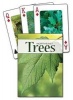 Trees of the Northeast Playing Cards (Cards) - Stan Tekiela Photo