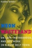 Neon Wasteland - On Love, Motherhood, and Sex Work in a Rust Belt Town (Paperback) - Susan Dewey Photo