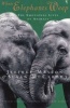 When Elephants Weep - The Emotional Lives of Animals (Paperback, Reissue) - Jeffrey Moussaieff Masson Photo