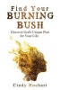 Find Your Burning Bush - Discover God's Unique Plan for Your Life (Paperback) - Cindy Lou Hochart Photo