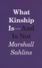 What Kinship is - and is Not (Hardcover) - Marshall Sahlins Photo