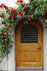 Red Climbing Roses Over the Front Door Journal - 150 Page Lined Notebook/Diary (Paperback) - Cs Creations Photo