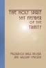 Holy Spirit - Shy Member of the Trinity (Paperback) - Frederick Dale Bruner Photo