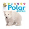 Polar Animals (Paperback) - David West Photo