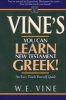 Vine's Learn New Testament Greek - An Easy Teach Yourself Course in Greek (English, Greek, To, Paperback) - WE Vine Photo