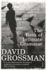 The Book of Intimate Grammar (Paperback) - David Grossman Photo