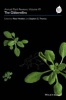 Annual Plant Reviews, Volume 49 - The Gibberellins (Hardcover) - Peter Hedden Photo