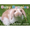 Busy Bunnies (Board book) - John Schindel Photo