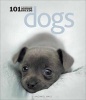 Dogs - 101 Adorable Breeds (Hardcover) - Rachael Hale Photo