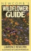 Newcomb's Wildflower Guide (Paperback) - Lawrence Newcomb Photo