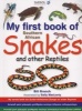 My First Book Of Southern African Snakes And Other Reptiles (English & Foreign language, Paperback) - Bill Branch Photo