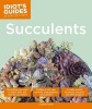 Succulents (Paperback) - Cassidy Tuttle Photo