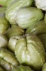 Chayote Squash Journal - 150 Page Lined Notebook/Diary (Paperback) - Cool Image Photo