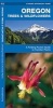 Oregon Trees & Wildflowers - A Folding Pocket Guide to Familiar Species (Pamphlet) - James Kavanagh Photo