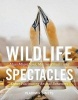 Wildlife Spectacles - Mass Migrations, Mating Rituals, and Other Fascinating Animal Behaviors (Hardcover) - Vladimir Dinets Photo