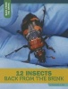 12 Insects Back from the Brink (Paperback) - Samantha S Bell Photo