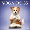 Yoga Dogs (Calendar) - Inc Browntrout Publishers Photo